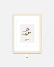 Minimal Botanic Stem
