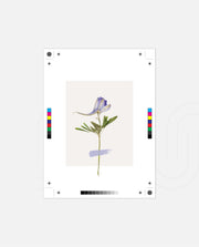 Minimal Botanic Stem
