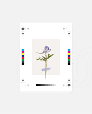Minimal Botanic Stem