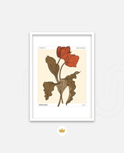 Market Floral Retro