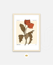 Market Floral Retro
