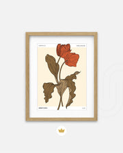 Market Floral Retro