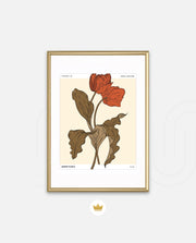 Market Floral Retro