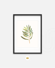 Watercolor Olive Leaf