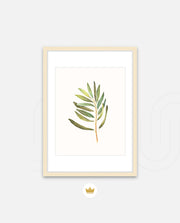 Watercolor Olive Leaf