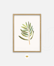 Watercolor Olive Leaf