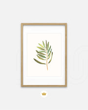 Watercolor Olive Leaf