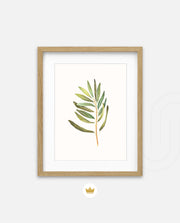 Watercolor Olive Leaf