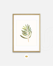 Watercolor Olive Leaf