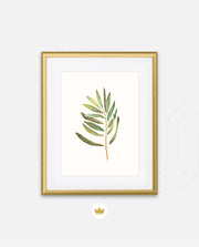 Watercolor Olive Leaf