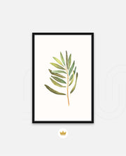 Watercolor Olive Leaf