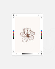 Single Floral Lineart