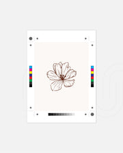 Single Floral Lineart