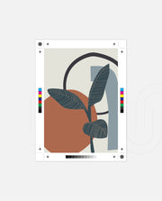 Botanical Geometric Fusion