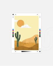 Desert Sun Cactus