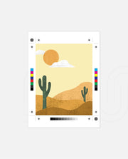 Desert Sun Cactus