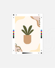 Minimal Potted Plant
