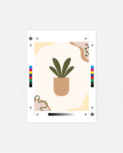 Minimal Potted Plant