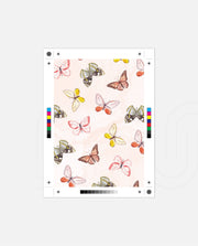 Butterfly Dream Pattern