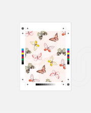 Butterfly Dream Pattern