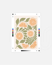 Citrus Garden Pattern