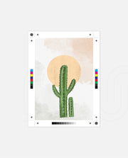 Cactus Golden Horizon