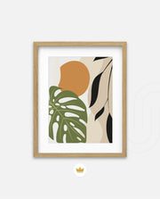 Monstera Earth Harmony