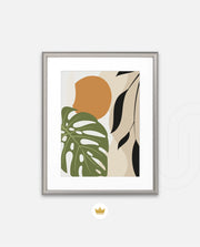 Monstera Earth Harmony