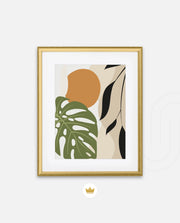 Monstera Earth Harmony