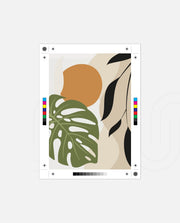Monstera Earth Harmony