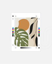 Monstera Earth Harmony