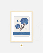 Blue Petal Dream