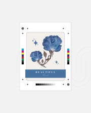 Blue Petal Dream