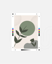 Sage Botanical Balance