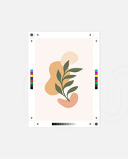 Gentle Botanical Balance