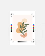 Gentle Botanical Balance