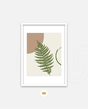Fern Serenity