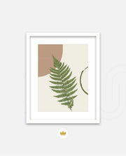 Fern Serenity