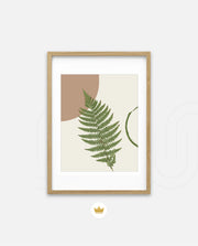 Fern Serenity