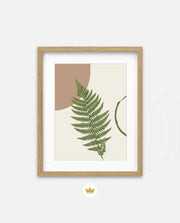 Fern Serenity