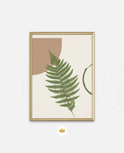 Fern Serenity