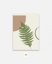Fern Serenity