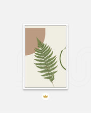 Fern Serenity