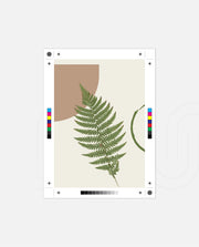 Fern Serenity