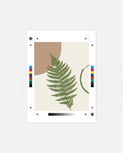 Fern Serenity