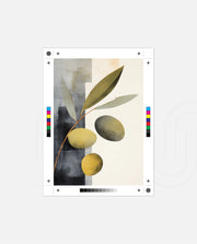Olive Still Life