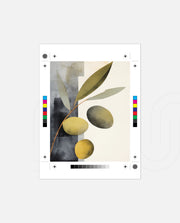 Olive Still Life