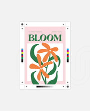 Garden Bloom Poster
