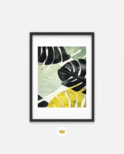 Tropical Leaf Contrast