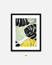 Tropical Leaf Contrast